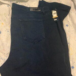 BANDOLINO MANDIE “THE PERFECT FIT JEAN” STRETCH STRAIGHT LEG WOMENS SIZE 24W NWT